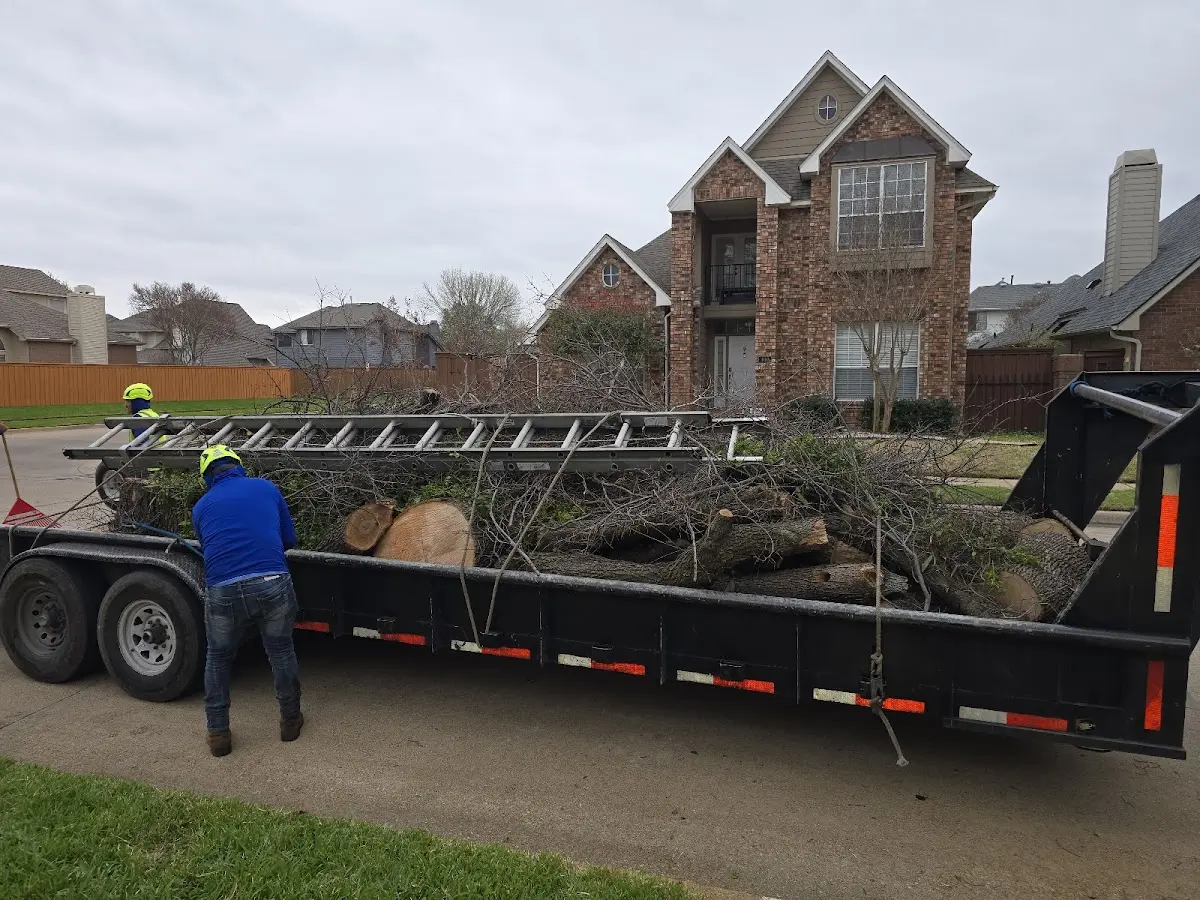 Expert Lot Clearing with proper safety equipment in Inglewood